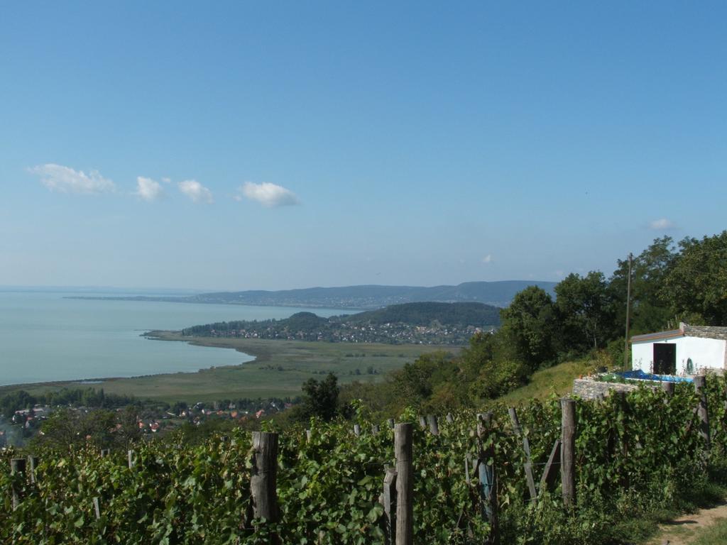 Kis Teniszhaz Ordacsehi Buitenkant foto